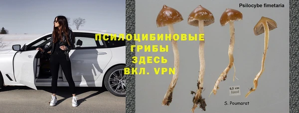 мяу мяу мука Новодвинск