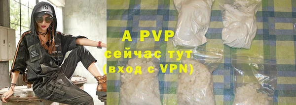тгк Нея