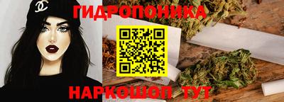 скорость Дубна