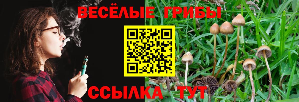 купить наркотики цена  Кумертау  Псилоцибиновые грибы мухоморы 