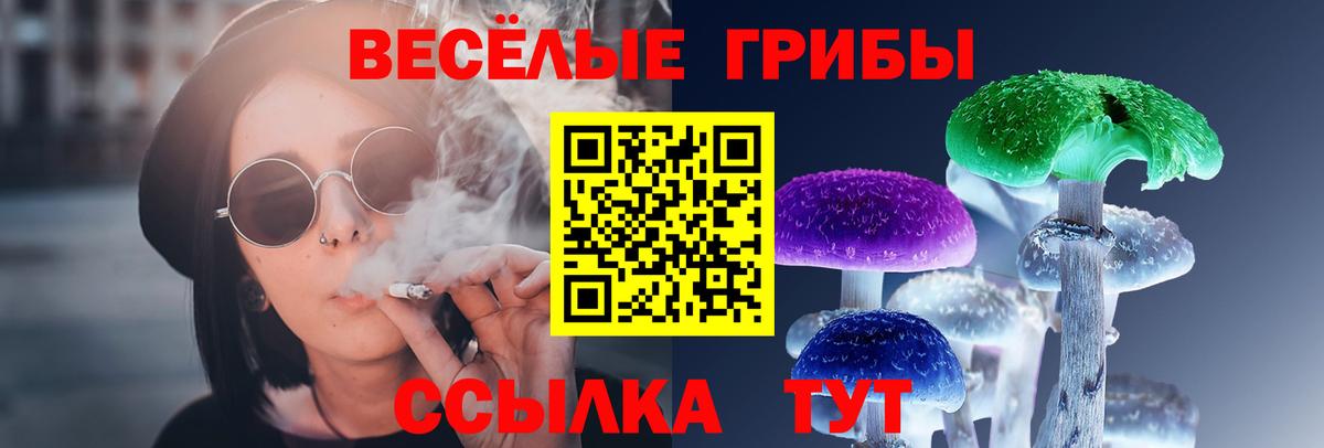 Галлюциногенные грибы мицелий  где купить наркотик  Кумертау  Вход с VPN 